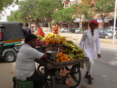 Inde (Rajasthan) - Avril_Mai 2012 - Album N° 2, P1080484