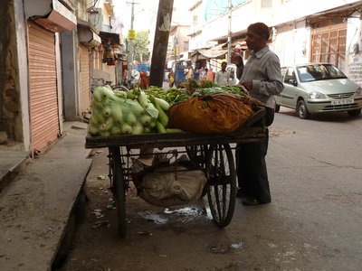 Inde (Rajasthan) - Avril_Mai 2012 - Album N° 2, P1080518