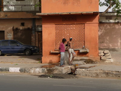 Inde (Rajasthan) - Avril_Mai 2012 - Album N° 2, P1080539