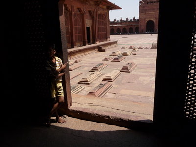 Inde (Rajasthan) - Avril_Mai 2012 - Album N° 2, P1080657