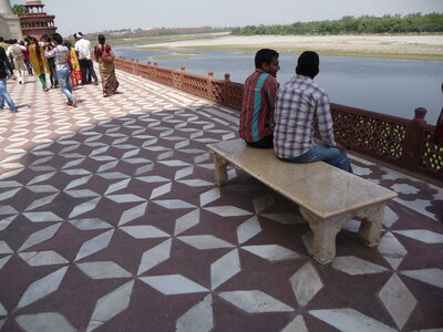 Inde (Rajasthan) - Avril_Mai 2012 - Album N° 2, P1080781