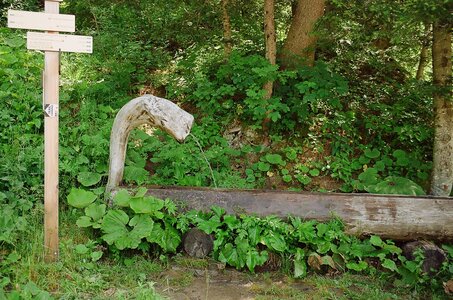 20170703-19 GR 5 2017 Thonon - Modane, 20170703-29 08 07 17 Fontaine entre le col de Cou et le refuge de la Chardonnière