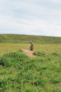 20170703-19 GR 5 2017 Thonon - Modane, 20170715-02 15 07 17 Marmotte au vallon de la Tovière