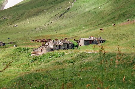 20170703-19 GR 5 2017 Thonon - Modane, 20170715-23 16 07 17 L’alpage du Vallon