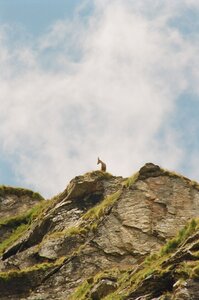 20170703-19 GR 5 2017 Thonon - Modane, 20170718-21 18 07 17 Bouquetin avant le refuge de l’Arpont
