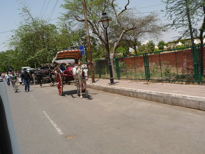 Inde (Rajasthan) - Avril_Mai 2012 - Album N° 2, P1080842