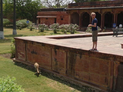 Inde (Rajasthan) - Avril_Mai 2012 - Album N° 2, P1090073