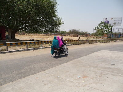 Inde (Rajasthan) - Avril_Mai 2012 - Album N° 2, P1090131