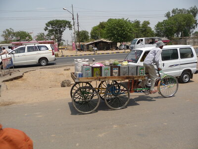 Inde (Rajasthan) - Avril_Mai 2012 - Album N° 2, P1090145