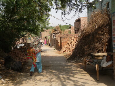 Inde (Rajasthan) - Avril_Mai 2012 - Album N° 2, P1090168