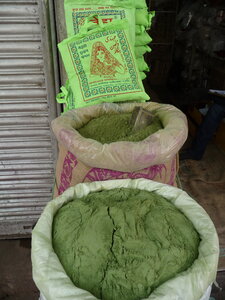 Inde (Rajasthan) - Avril_Mai 2012 - Album N° 2, P1090352