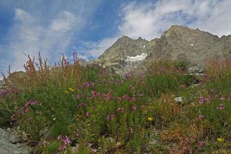 2017-08-12-15-dome-des-ecrins, alpes-aventure-ecole-de-glace-16