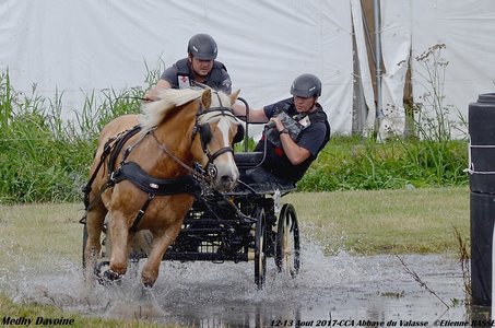 2017-08 CCA Valasse Clubs, 40-DSC_0507