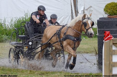 2017-08 CCA Valasse Clubs, 40-DSC_0510