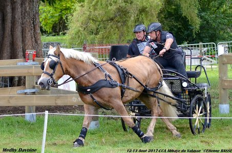 2017-08 CCA Valasse Clubs, 40-DSC_0625