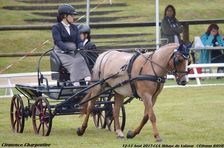 2017-08 CCA Valasse Clubs, 41-0DSC_9351