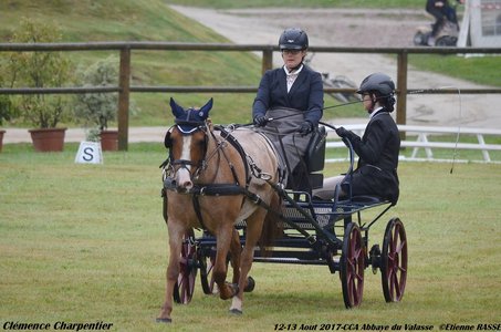 2017-08 CCA Valasse Clubs, 41-0DSC_9355
