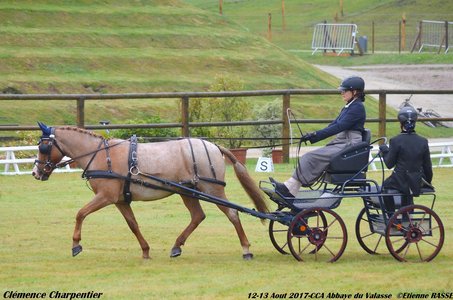 2017-08 CCA Valasse Clubs, 41-0DSC_9362