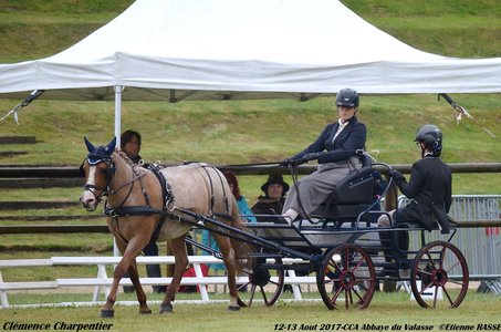 2017-08 CCA Valasse Clubs, 41-0DSC_9364