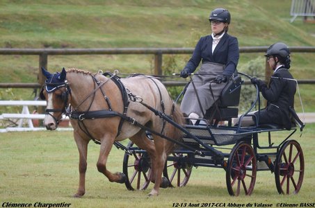 2017-08 CCA Valasse Clubs, 41-0DSC_9370