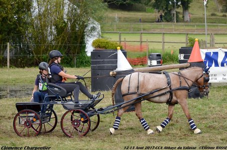 2017-08 CCA Valasse Clubs, 41-DSC_0553