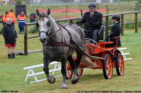 2017-08 CCA Valasse Clubs, 42-0DSC_9380