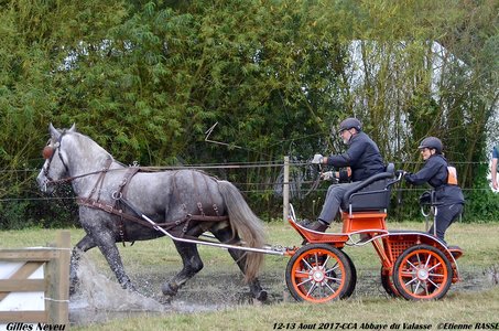 2017-08 CCA Valasse Clubs, 42-DSC_0591