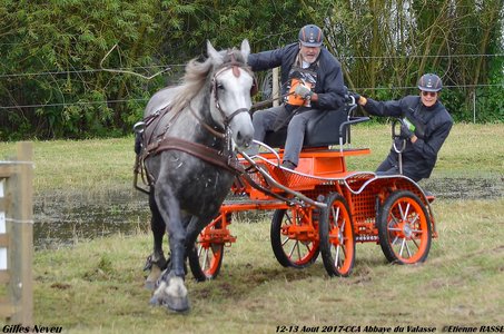 2017-08 CCA Valasse Clubs, 42-DSC_0608