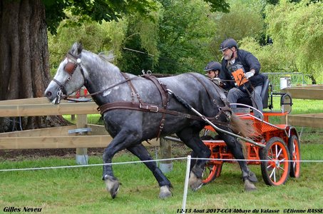2017-08 CCA Valasse Clubs, 42-DSC_0721