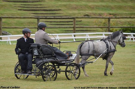 2017-08 CCA Valasse Clubs, 43-0DSC_9478