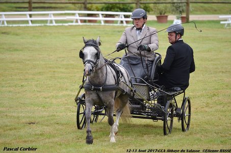 2017-08 CCA Valasse Clubs, 43-0DSC_9482