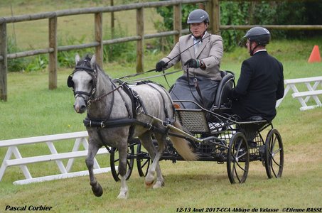 2017-08 CCA Valasse Clubs, 43-0DSC_9487
