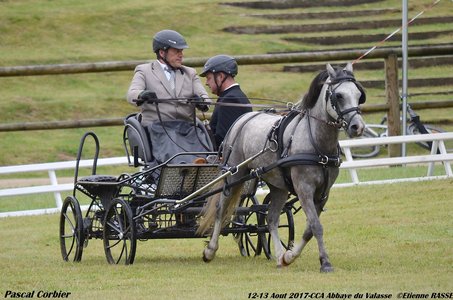 2017-08 CCA Valasse Clubs, 43-0DSC_9491