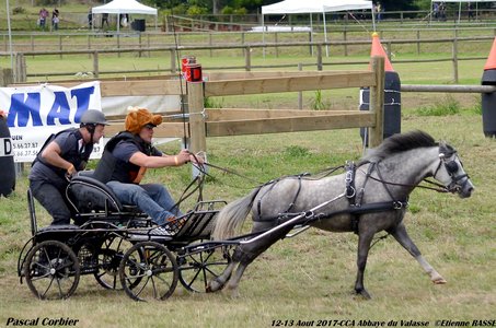 2017-08 CCA Valasse Clubs, 43-DSC_1342