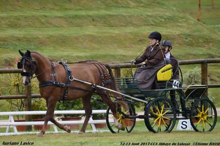 2017-08 CCA Valasse Clubs, 44-0DSC_9396
