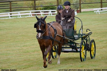 2017-08 CCA Valasse Clubs, 44-0DSC_9400