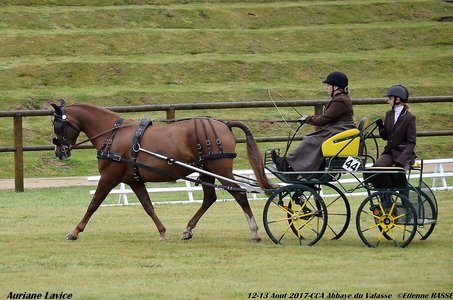 2017-08 CCA Valasse Clubs, 44-0DSC_9402