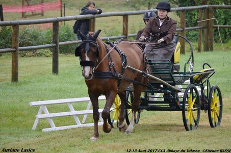 2017-08 CCA Valasse Clubs, 44-0DSC_9403