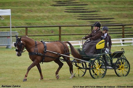 2017-08 CCA Valasse Clubs, 44-0DSC_9413