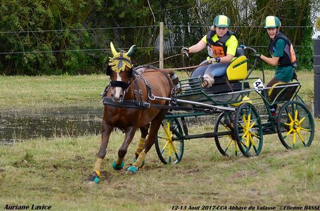 2017-08 CCA Valasse Clubs, 44-DSC_0657