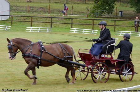 2017-08 CCA Valasse Clubs, 45-0DSC_9431