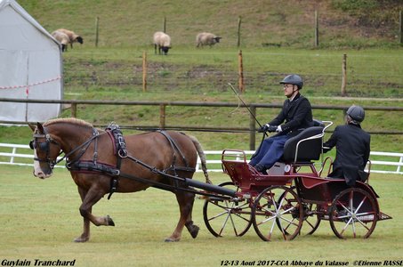 2017-08 CCA Valasse Clubs, 45-0DSC_9434