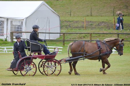 2017-08 CCA Valasse Clubs, 45-0DSC_9437