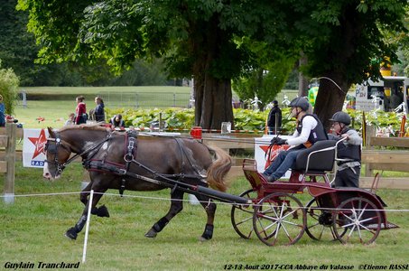 2017-08 CCA Valasse Clubs, 45-DSC_0442