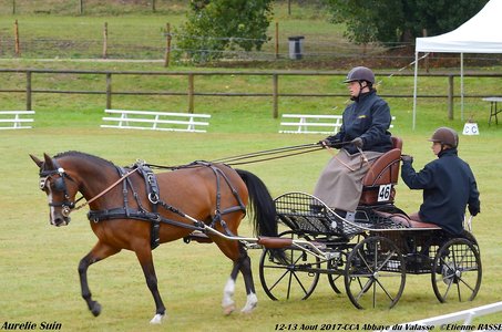 2017-08 CCA Valasse Clubs, 46-0DSC_9438