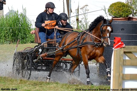 2017-08 CCA Valasse Clubs, 46-DSC_0408