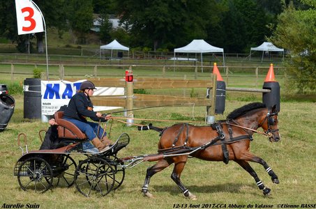 2017-08 CCA Valasse Clubs, 46-DSC_0413