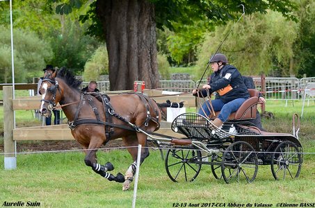 2017-08 CCA Valasse Clubs, 46-DSC_0491