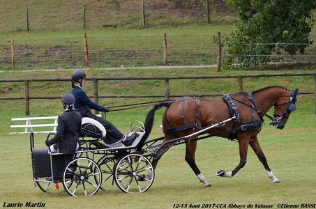 2017-08 CCA Valasse Clubs, 47-0DSC_9460