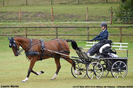 2017-08 CCA Valasse Clubs, 47-0DSC_9466
